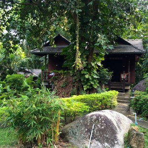 The Jungle Spa Samui- my bungalow